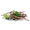 dong_quai_root_small.webp