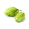 hops_small.webp